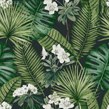 Wallpaper Eden Black and Dark Green