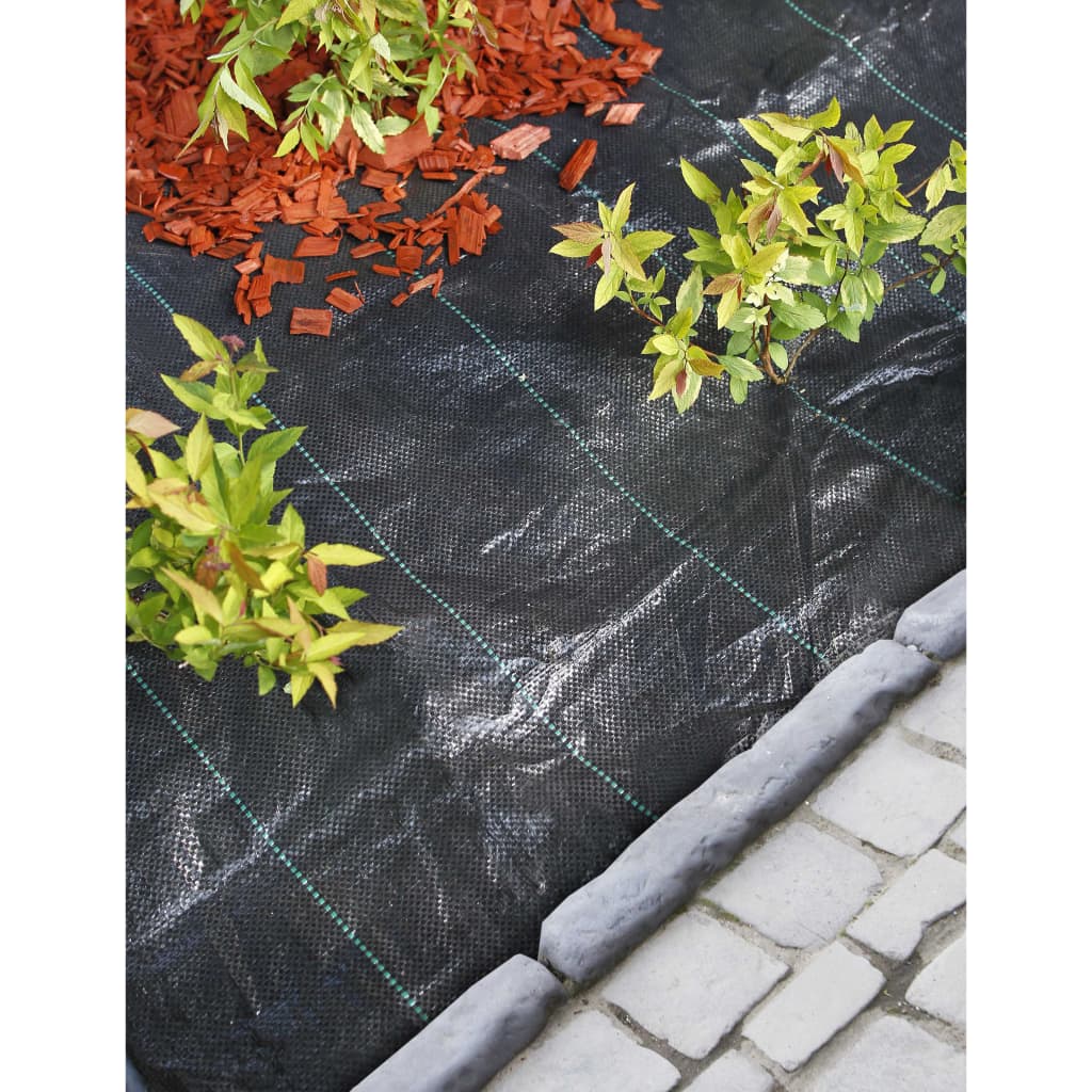 Weed Control Ground Cover 2x10m Black