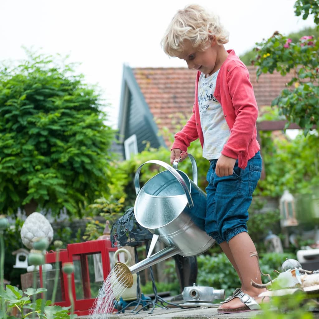 Watering Can 9 L Galvanised Steel