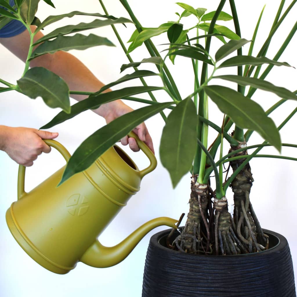 Watering Can Xala Lungo 12 L Curry Yellow