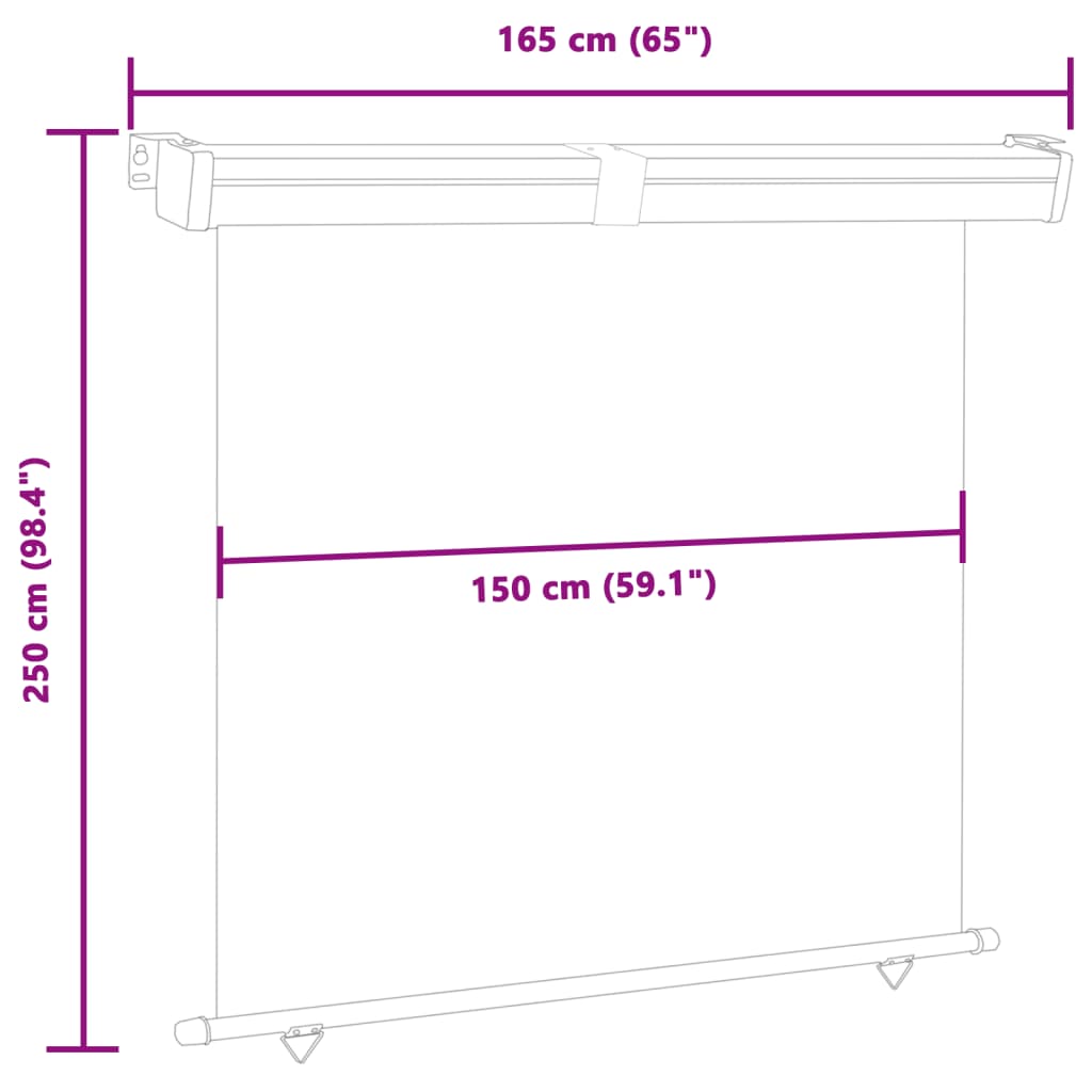 Balcony Side Awning 165x250 cm Black