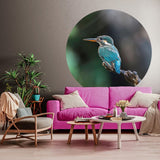 Wallpaper Circle The Kingfisher 142.5 cm