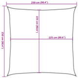 Sunshade Sail 160 g/m² White 2.5x2.5 m HDPE