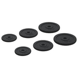 Weight Plates 6 pcs 30 kg Cast Iron