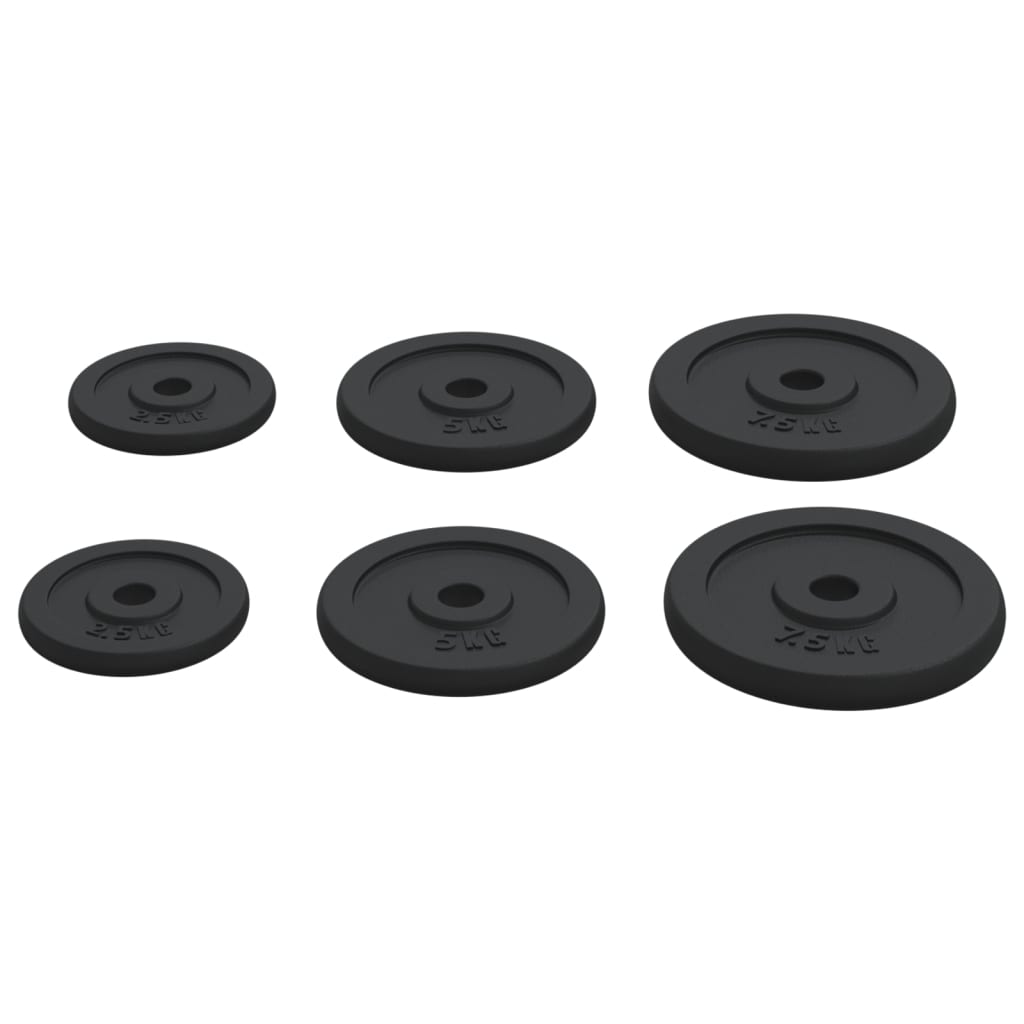 Weight Plates 6 pcs 30 kg Cast Iron