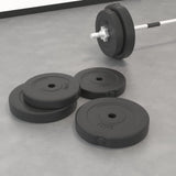 Weight Plates 4 pcs 30 kg Cement