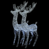 XXL Acrylic Christmas Reindeers 250 LED 2 pcs 180 cm Cold white